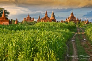 Around_Bagan_s_fields_30