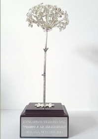 Fotografia Biznaga, Premio Solidaridad